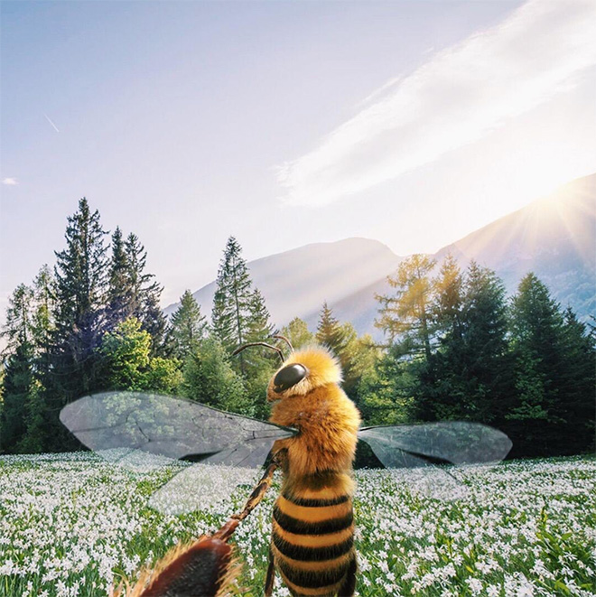 Bee influencer.