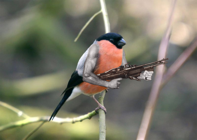 Birds with human arms are fun to look at.