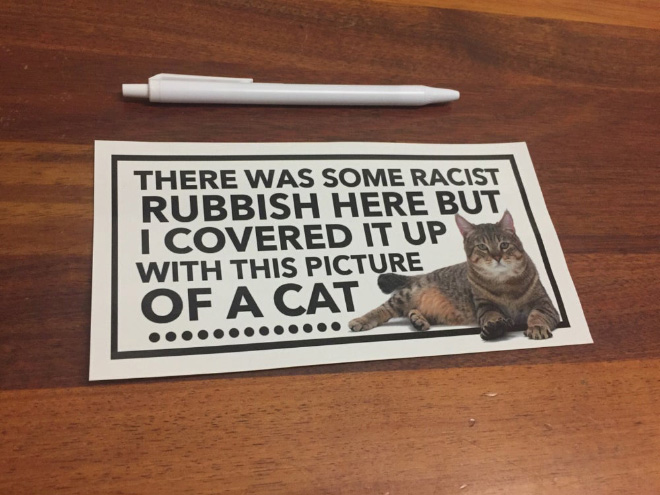 Brilliant cat sticker.