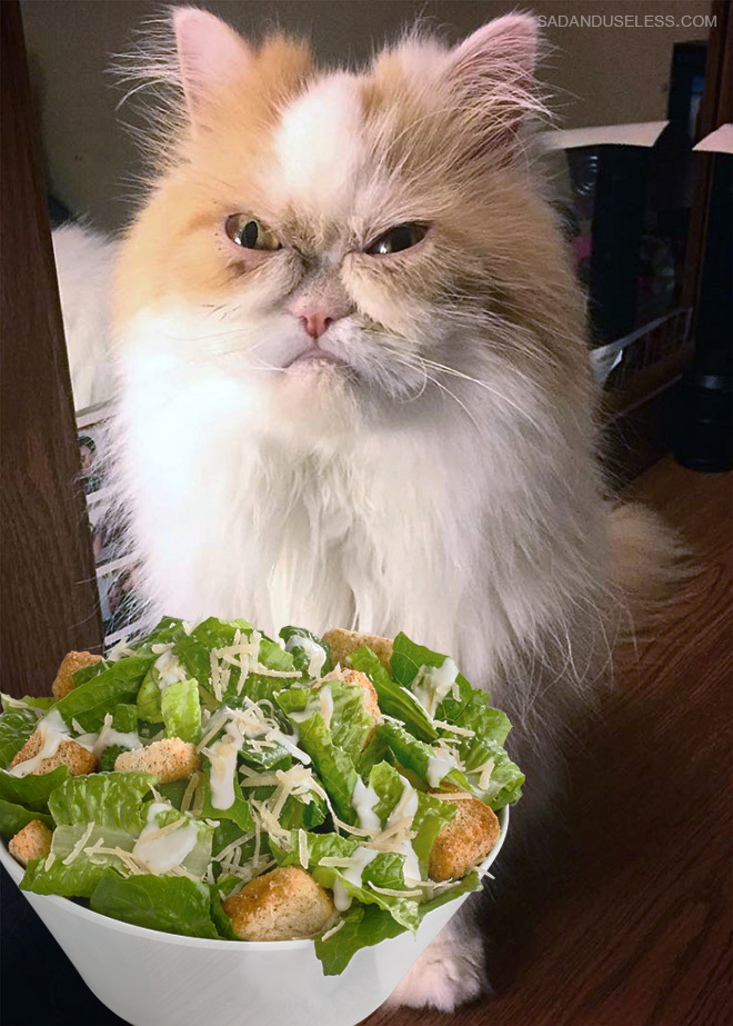 Salad? Ewww!