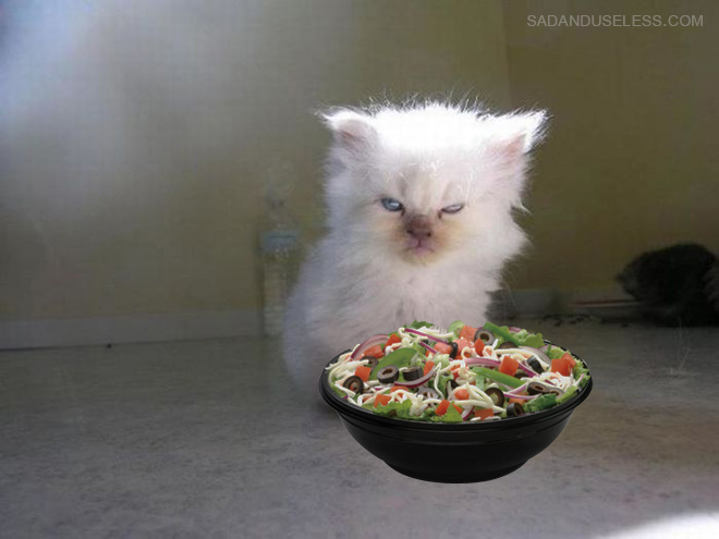 He hates salad.