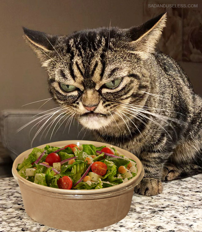 Salad?! WTF?!