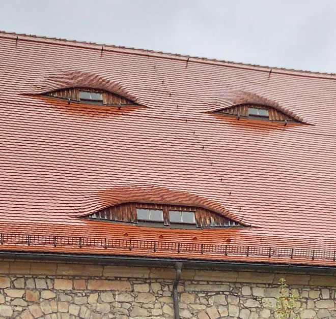 House face.