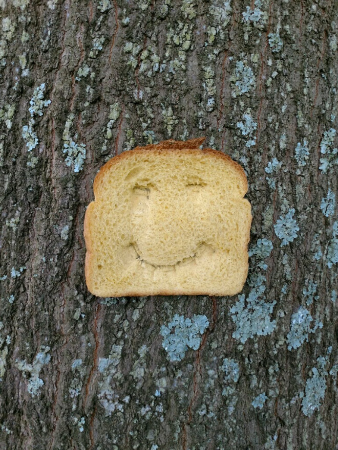 Bread stapled to a tree.