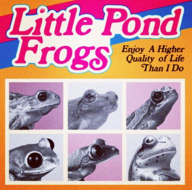 Little pond frogs.