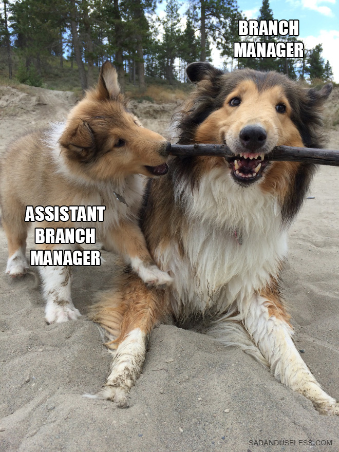 Branch Managers And Assistant Branch Managers