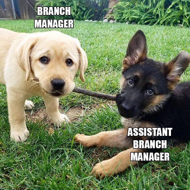 Branch managers.