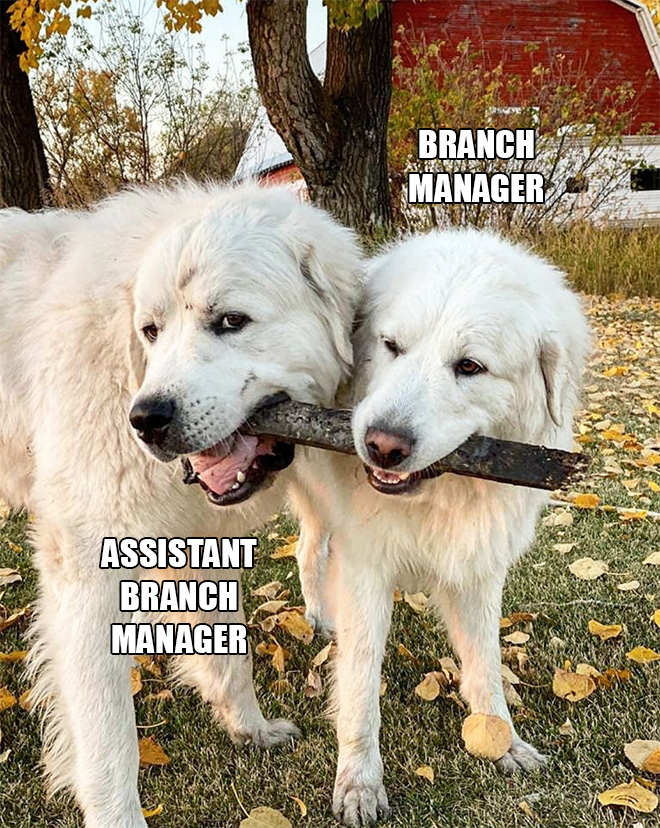 Branch managers, lol.