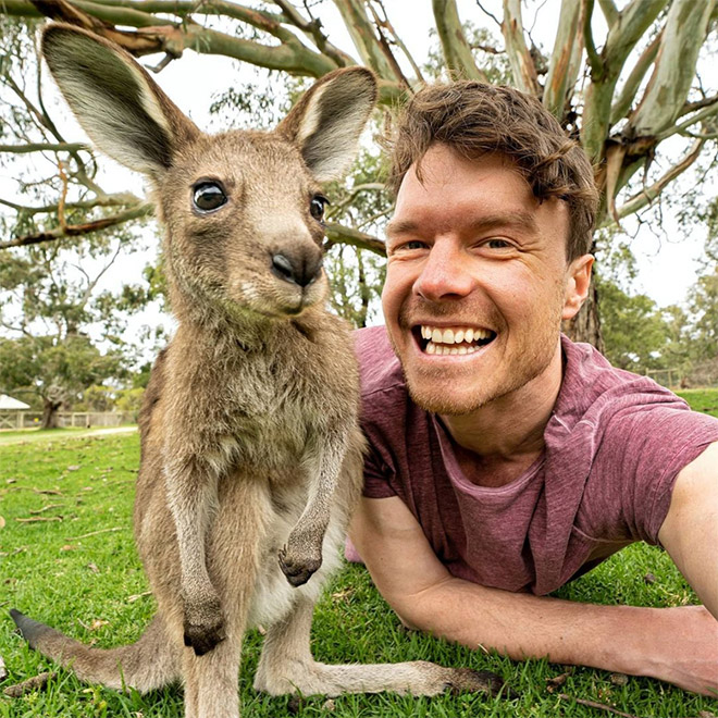 Cute animal selfie.