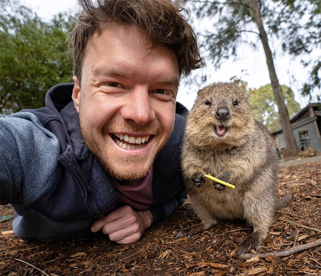 Cute animal selfie.