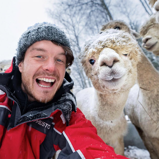 Cute animal selfie.