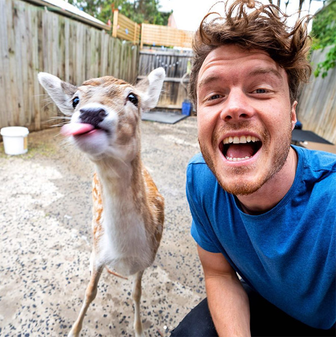 Cute animal selfie.