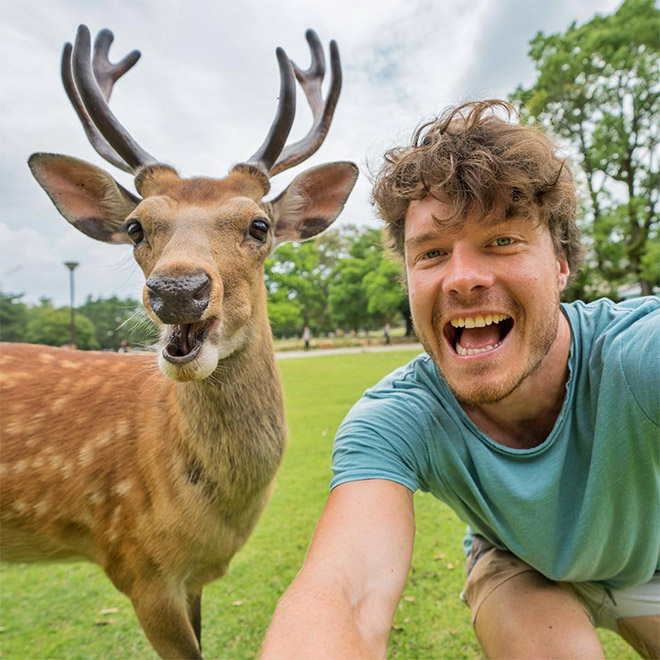 Cute animal selfie.