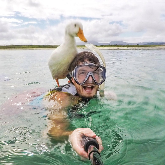 Cute animal selfie.