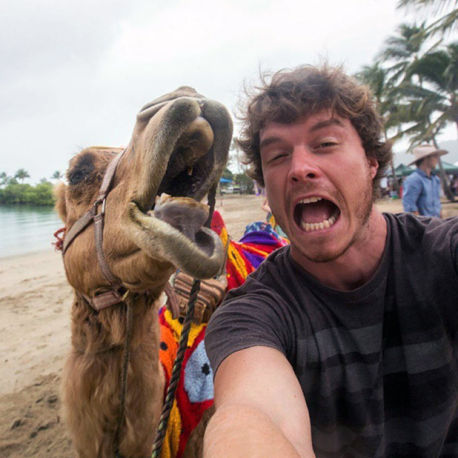 Cute animal selfie.