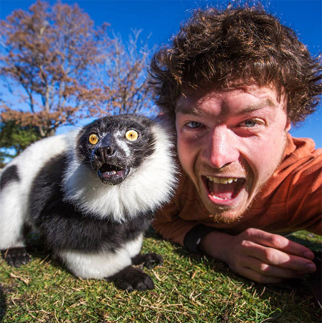 Cute animal selfie.