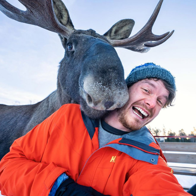 Cute animal selfie.