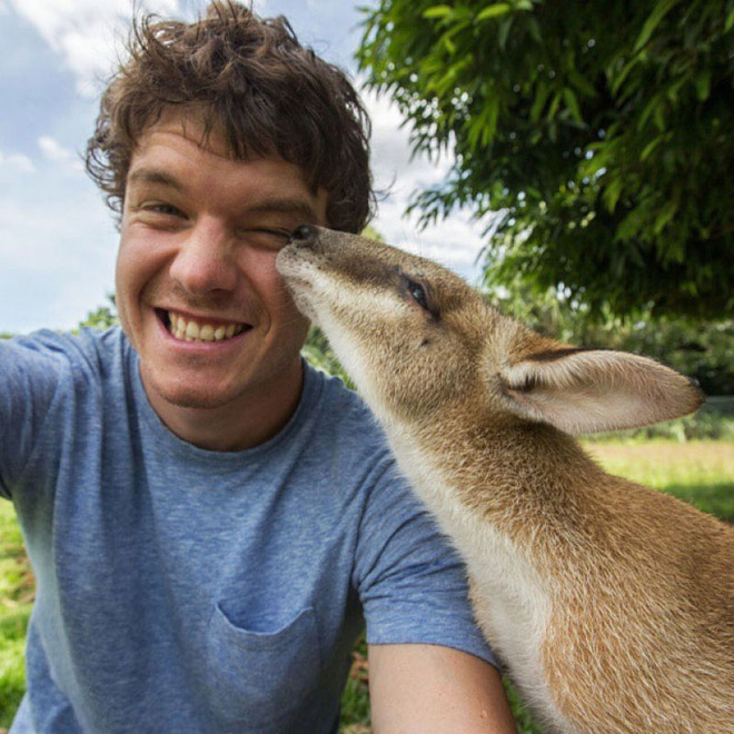 Cute animal selfie.