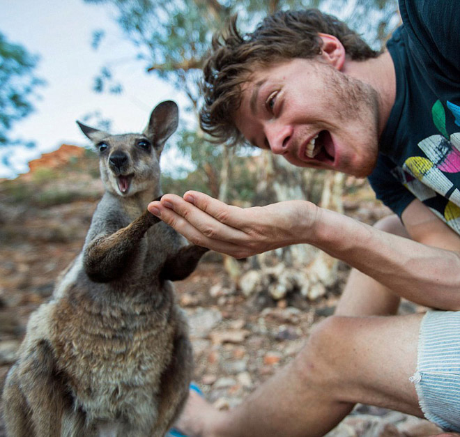 Cute animal selfie.