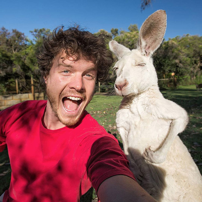 Cute animal selfie.