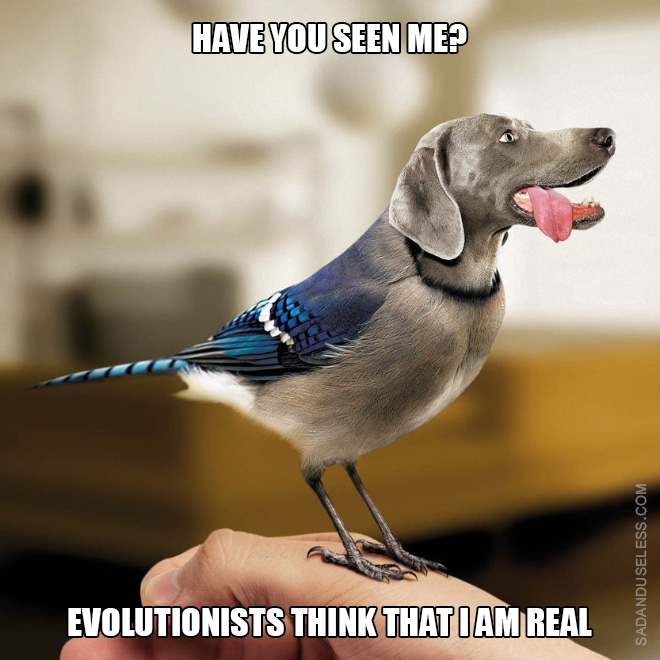 Evolutionists think that I am real.