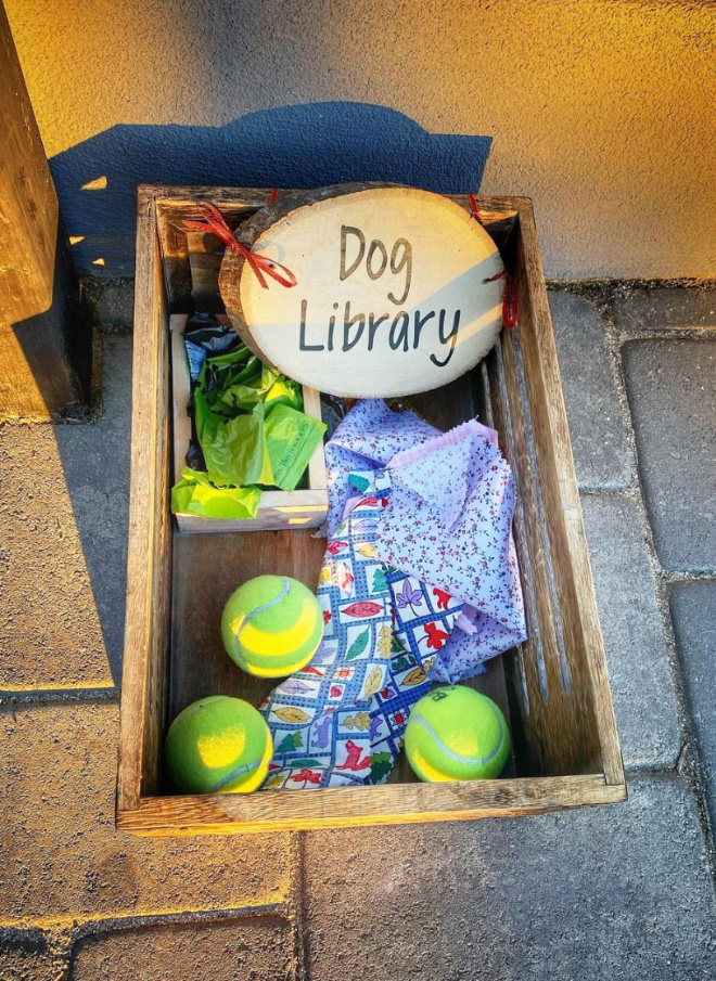 Library for dogs.