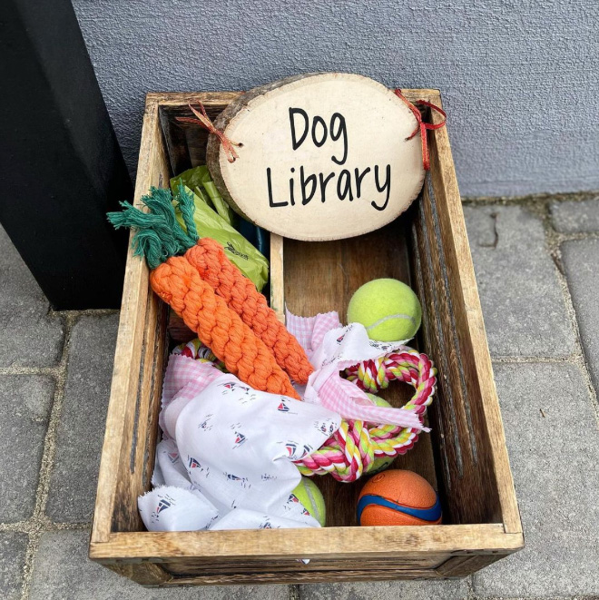 Library for dogs.