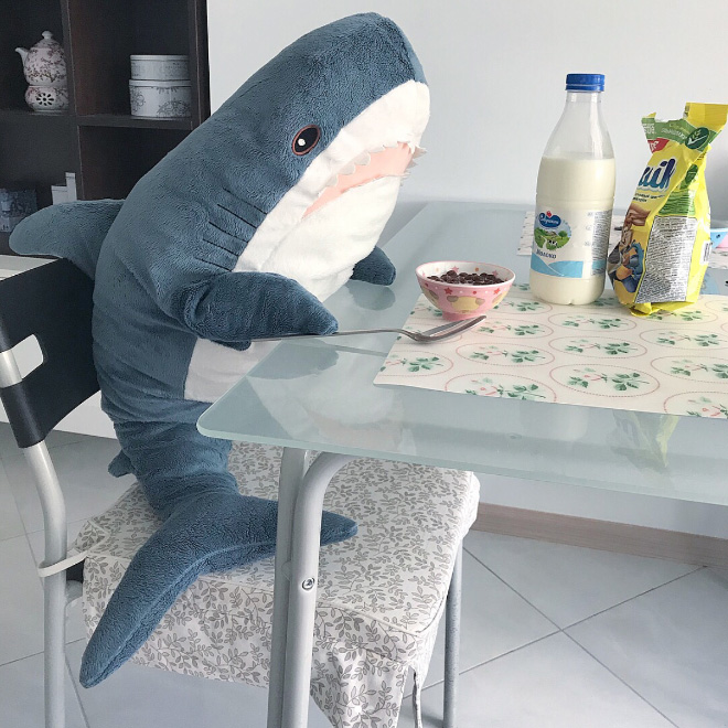Adventures with IKEA's BLÅHAJ shark toy.