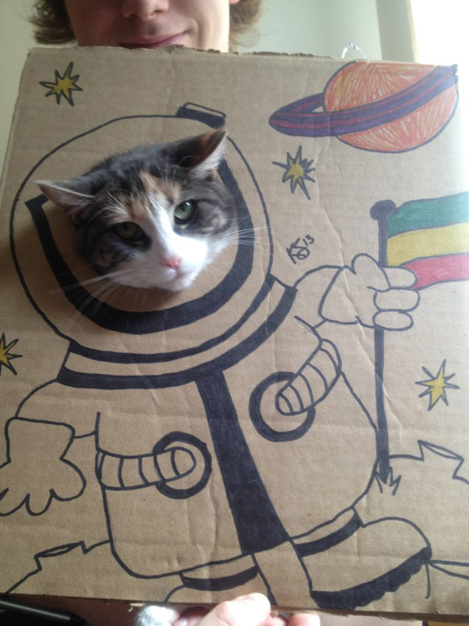 Cardboard cat art.