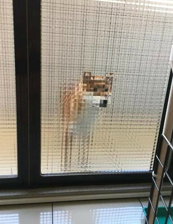 Pixelated dog behind glass doors.