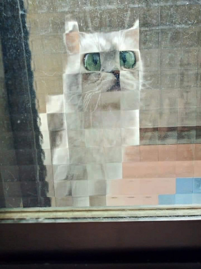 Pixelated cat behind glass doors.