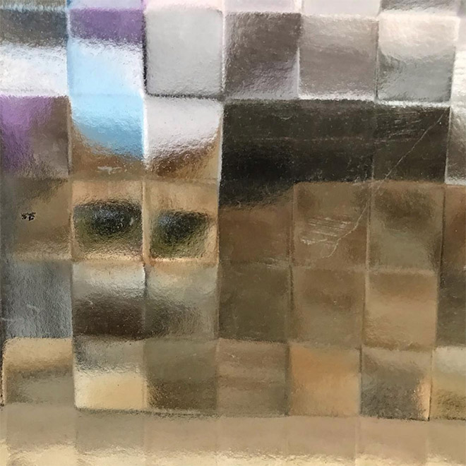 Pixelated cat behind glass doors.
