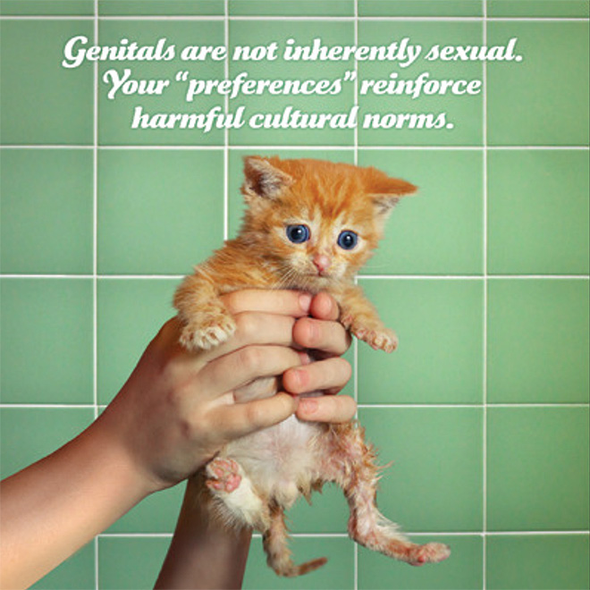 Social justice kitten.