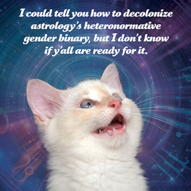 Social justice kitten.