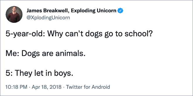 Why can't dogs go to school?