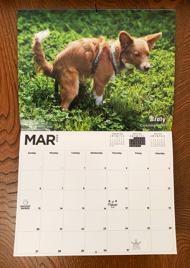 Pooping Pooches 2022 calendar.