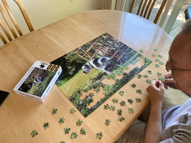 Pooping Pooches jigsaw puzzle.