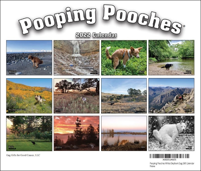 Pooping Pooches 2022 calendar.