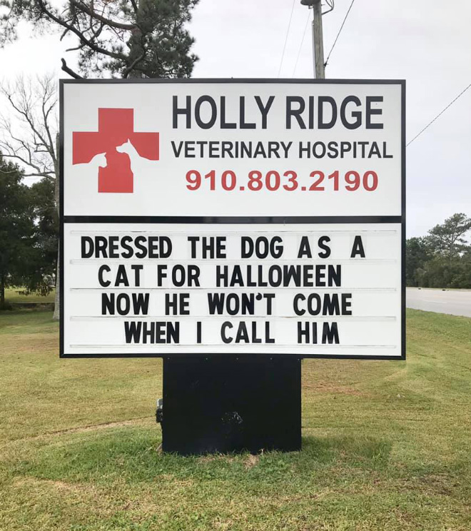 Funny vet outdoor sign.