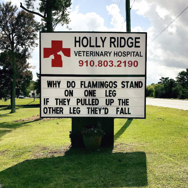 Funny vet outdoor sign.