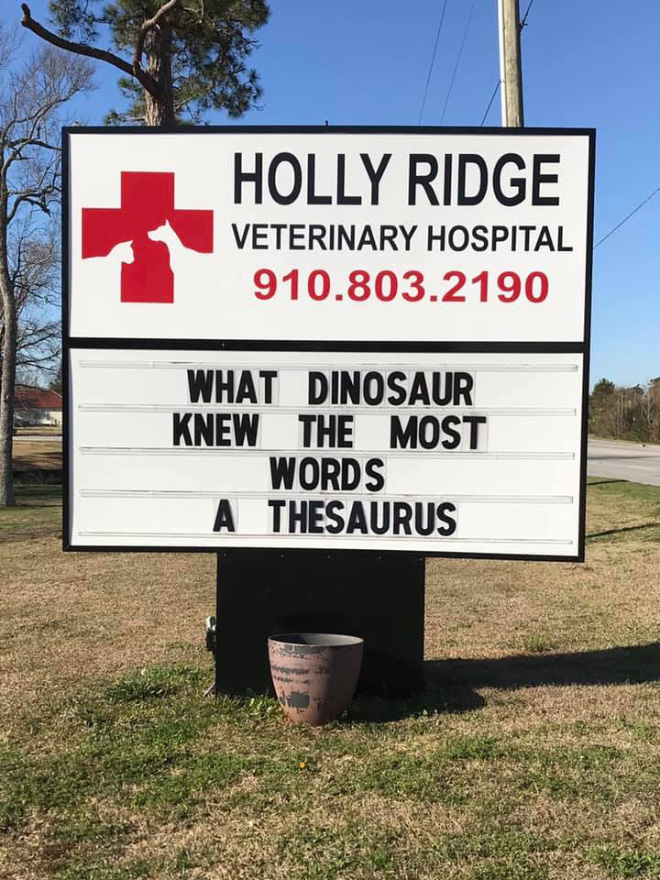 Funny vet outdoor sign.