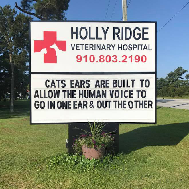 Funny vet outdoor sign.