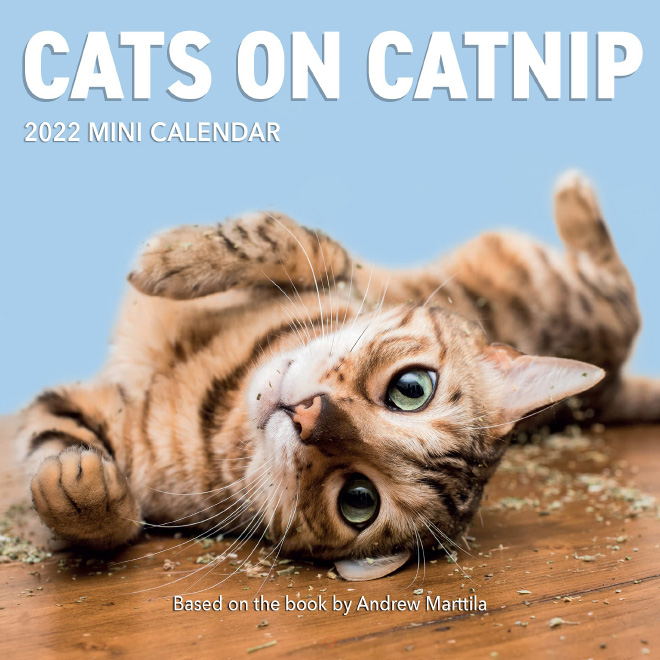 2022 Cats On Catnip Calendar Is Here!