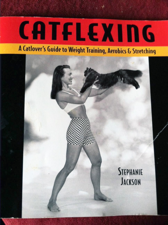 “Catflexing” by Stephanie Jackson