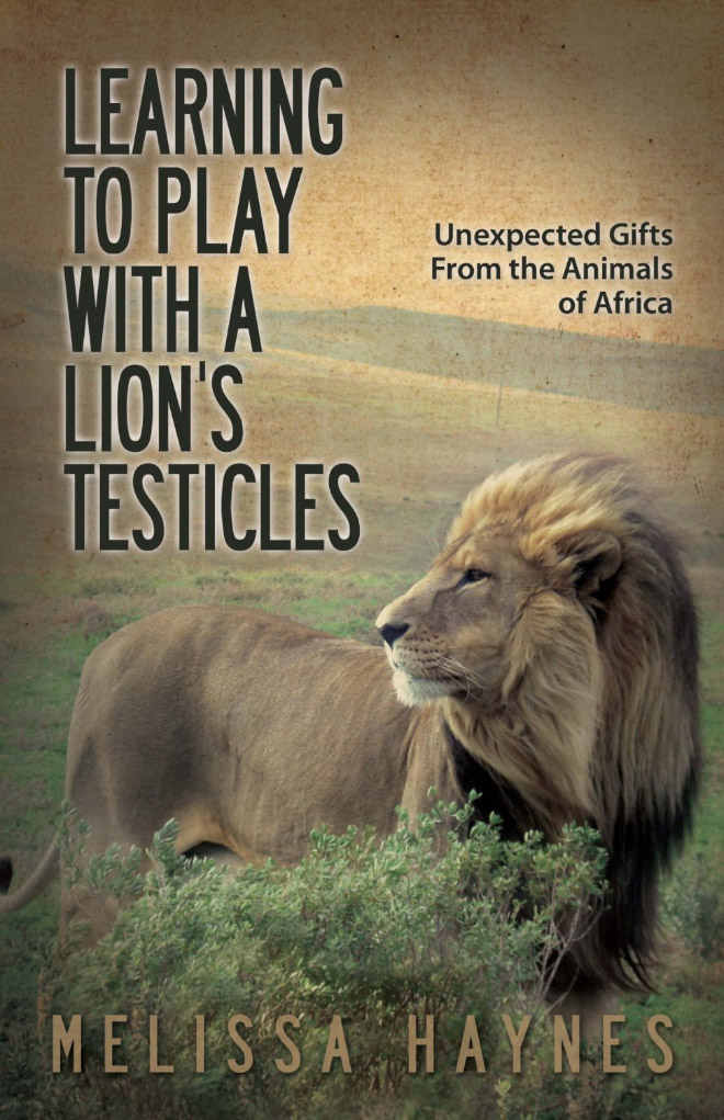 "Learning To Play With a Lion's Testicles" by Melissa Haynes
