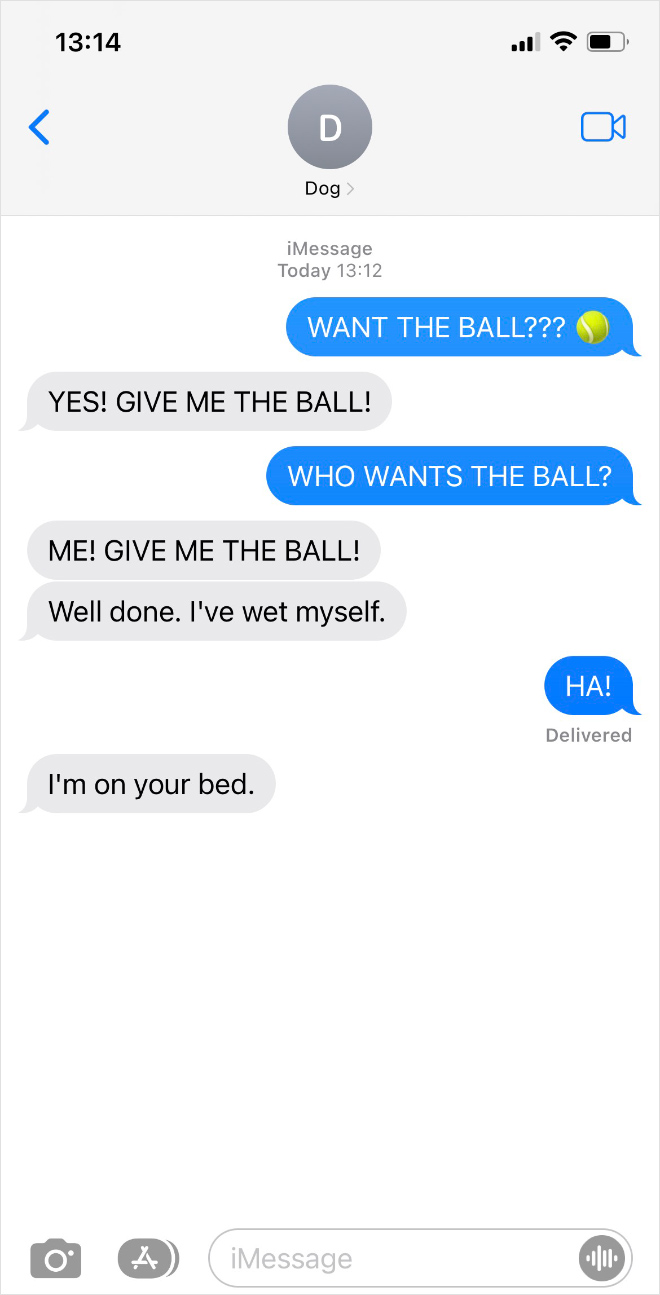 Texting with my dog.