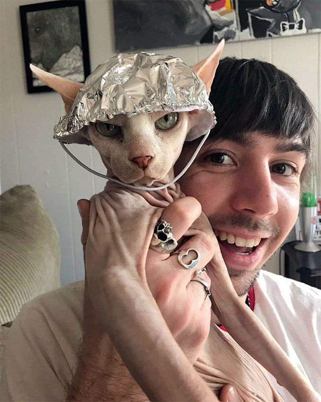 Cat Protection From Mind Control With Tin Foil Hats