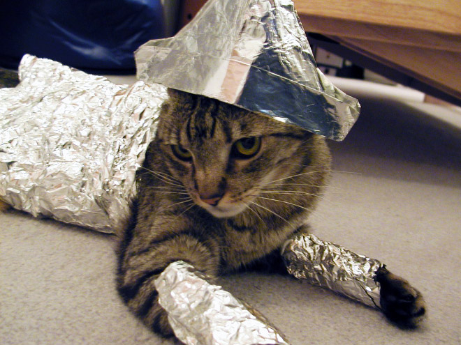 Tin foil cat hat against mind reading.