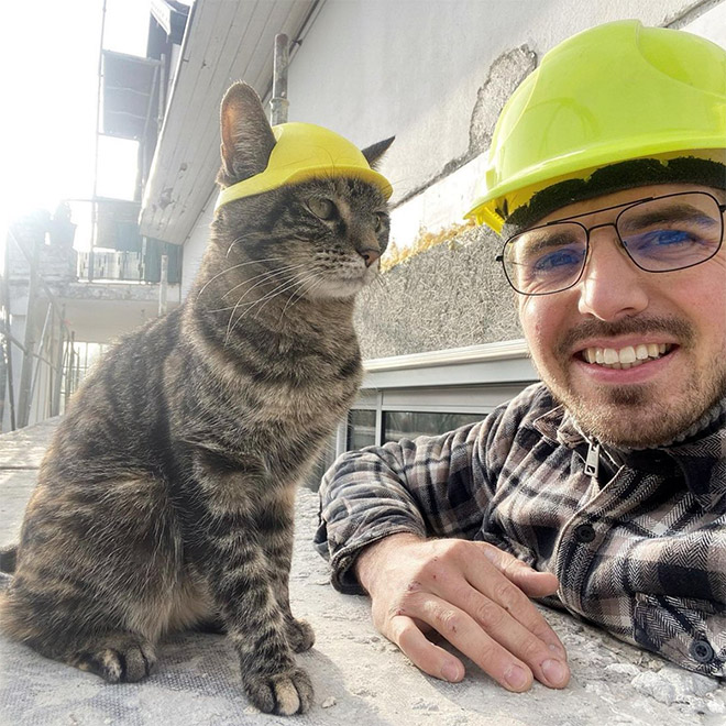 3D printed cat helmet.