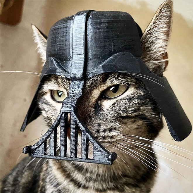 3D printed cat helmet.